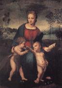 The Madonna of the Goldfinch