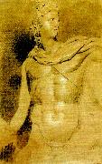 study of the head and torso of the apollo belvedere