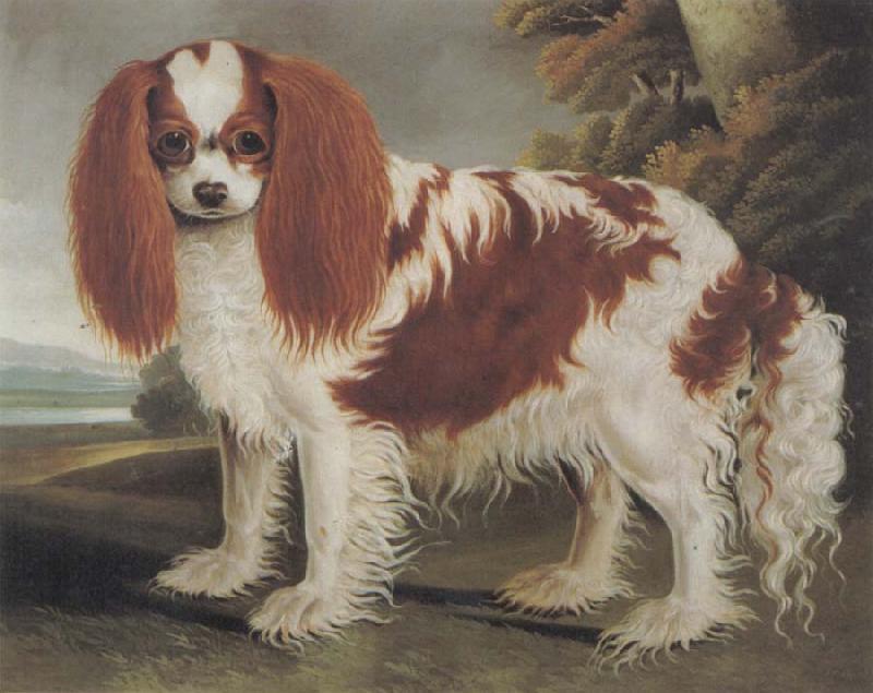 J.L.Clark King Charles Spaniel II