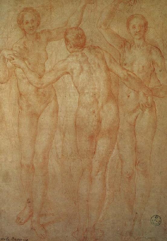 Pontormo The three goddesses