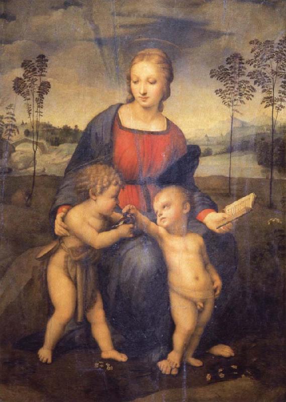 Raphael Madonna of the Goldfinch