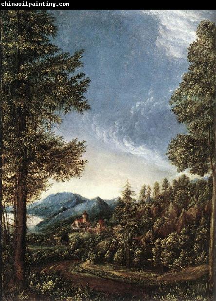 ALTDORFER, Albrecht Danubian Landscape g