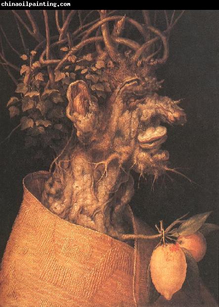 ARCIMBOLDO, Giuseppe Winter  fggfg