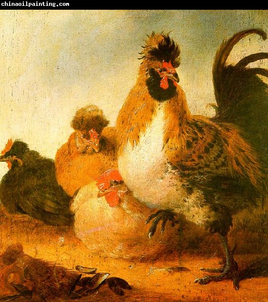 Aelbert Cuyp Rooster Hens