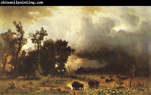 Albert Bierstadt Buffalo Trail