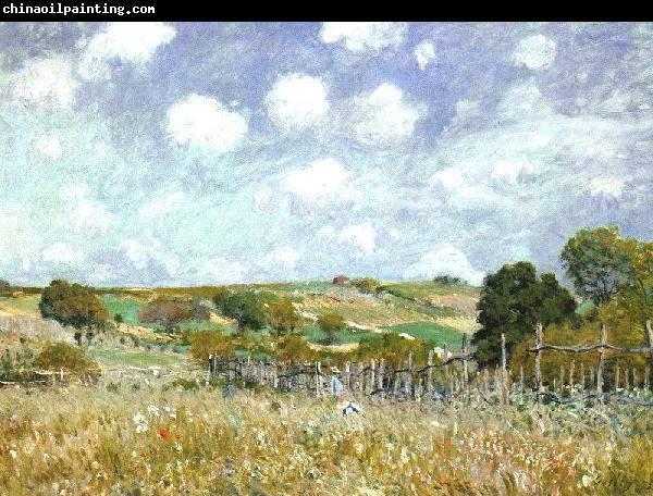 Alfred Sisley Meadow