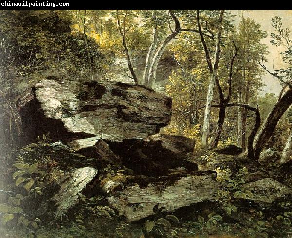 Asher Brown Durand Study from Rocks and Trees