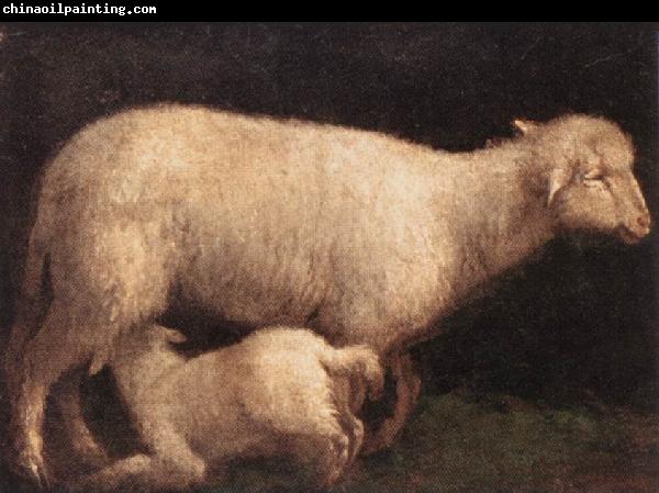 BASSANO, Jacopo Sheep and Lamb dghj