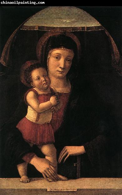 BELLINI, Giovanni Madonna with Child lll