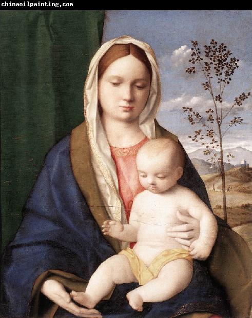 BELLINI, Giovanni Madonna and Child mmmnh