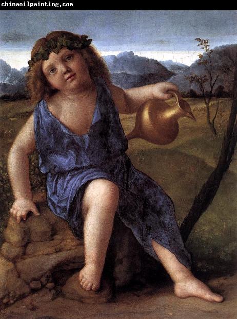 BELLINI, Giovanni Young Bacchus ffh