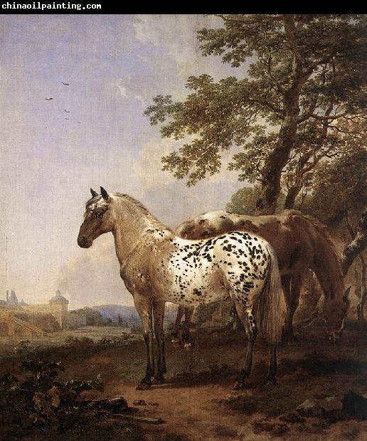 BERCHEM, Nicolaes Landscape with Two Horses