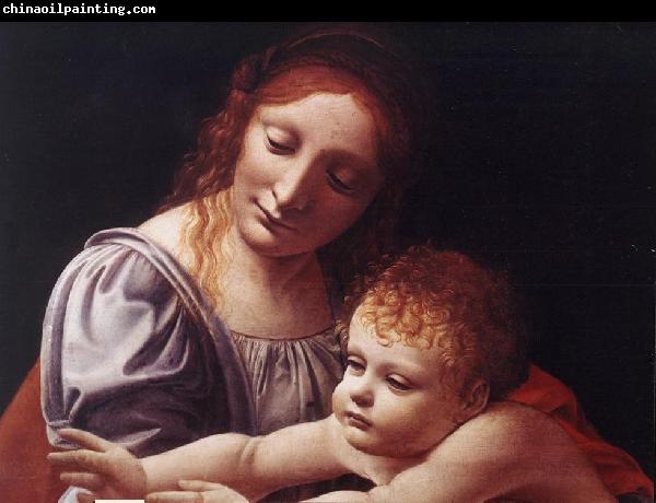BOLTRAFFIO, Giovanni Antonio The Virgin and Child (detail) dfg