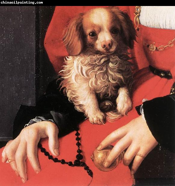 BRONZINO, Agnolo Portrait of a Lady with a Puppy (detail) fg