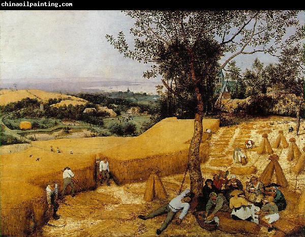 BRUEGEL, Pieter the Elder The Harvesters gf