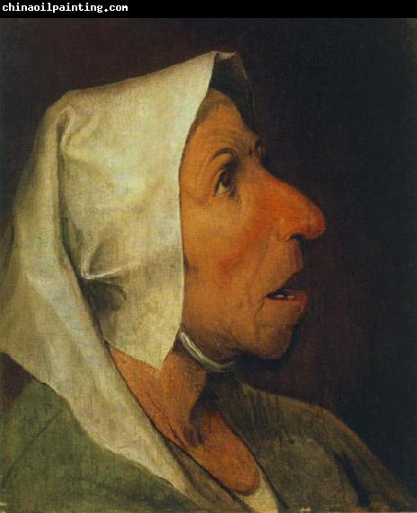 BRUEGEL, Pieter the Elder Portrait of an Old Woman  gfhgf