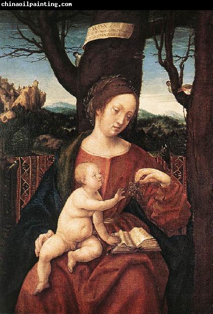 BURGKMAIR, Hans Madonna with Grape dfd