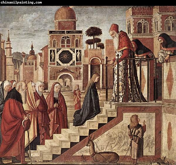 CARPACCIO, Vittore The Presentation of the Virgin fdg