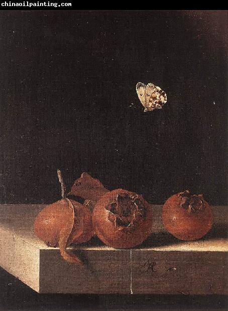 COORTE, Adriaen Three Medlars with a Butterfly zsdgf