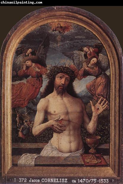 CORNELISZ VAN OOSTSANEN, Jacob Man of Sorrows dfg