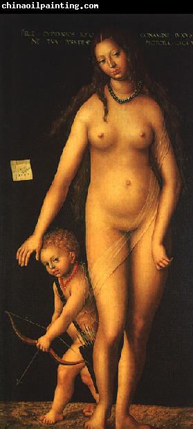 CRANACH, Lucas the Elder Venus and Cupid dfg