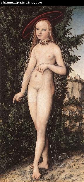 CRANACH, Lucas the Elder Venus Standing in a Landscape  fdg