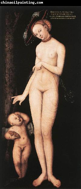 CRANACH, Lucas the Elder Venus and Cupid dsf