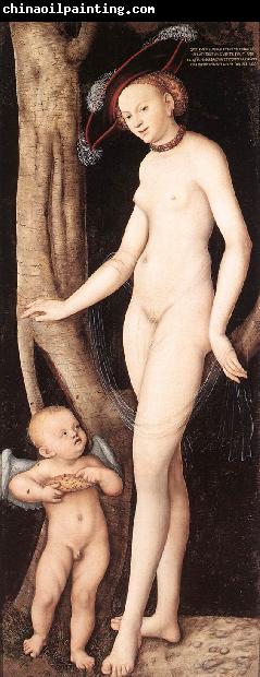 CRANACH, Lucas the Elder Venus and Cupid with a Honeycomb dfg