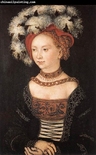 CRANACH, Lucas the Elder Portrait of a Young Woman dfg