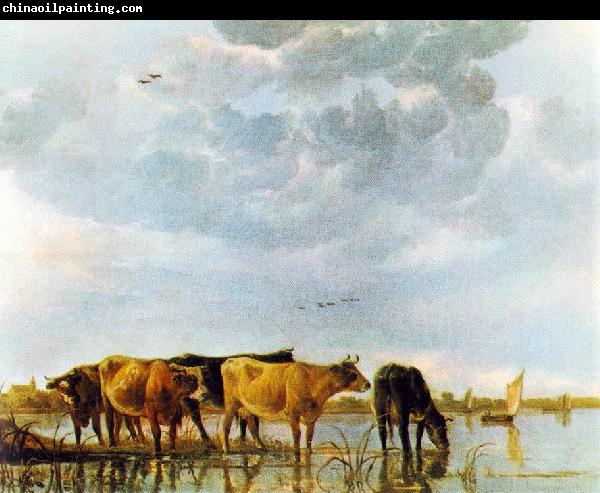 CUYP, Aelbert Cows in the Water