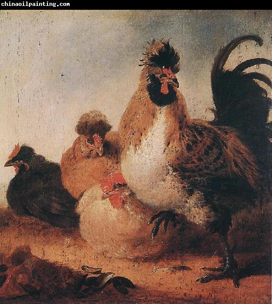 CUYP, Aelbert Rooster and Hens dfg