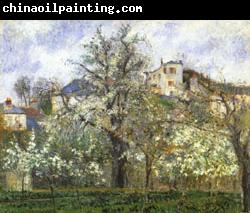 Camille Pissarro Vegetable Garden and Trees in Flower Spring