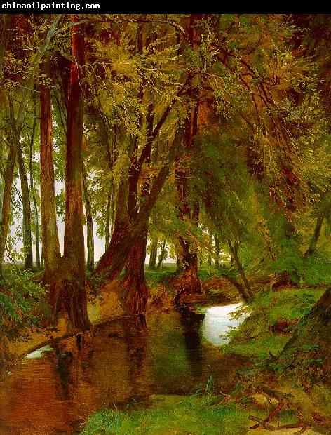 Charles Blechen Woodland with Brook