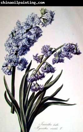 Cornelis van Spaendonck Prints Hyacinth