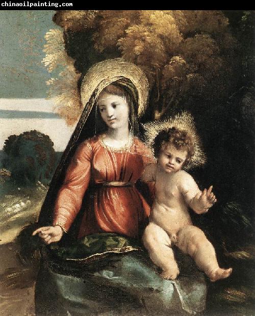 DOSSI, Dosso Madonna and Child ddfhf