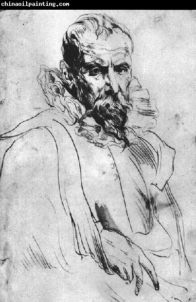 DYCK, Sir Anthony Van Portrait of Pieter Bruegel the Younger dfg