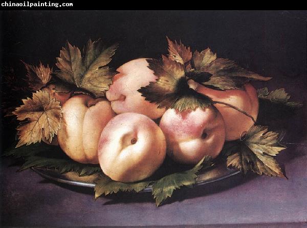 FIGINO, Giovanni Ambrogio Still-life with Peaches and Fig-leaves fdg