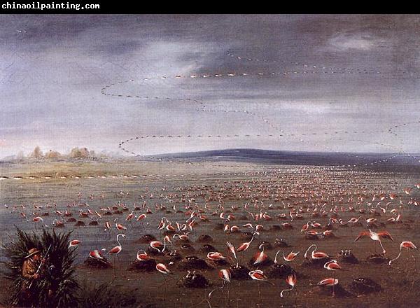 George Catlin Ambush for Flamingoes