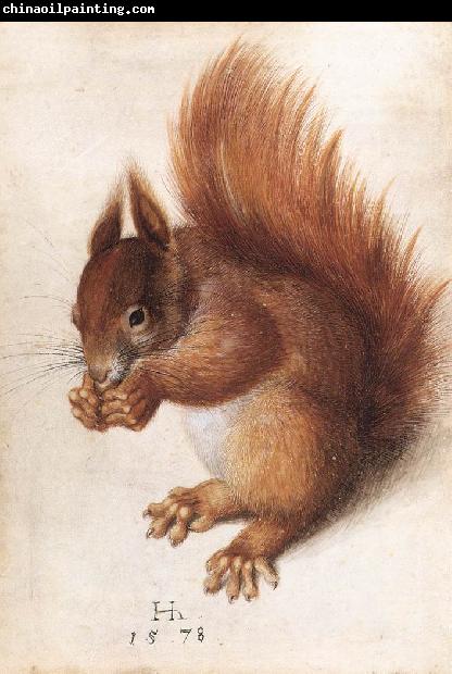 HOFFMANN, Hans Squirrel wf