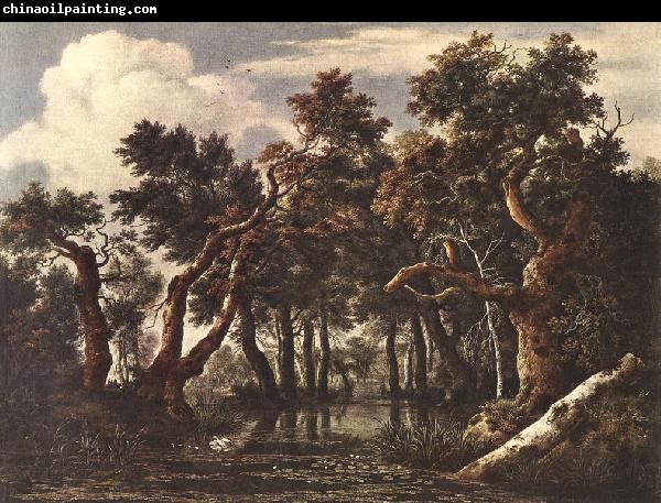 Jacob van Ruisdael The Marsh in a Forest