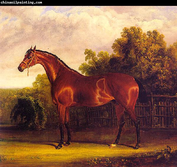 John F Herring Negotiator, the Bay Horse in a Landscape