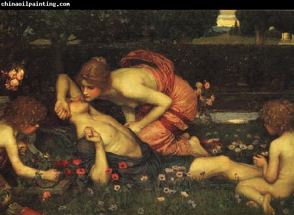 John William Waterhouse The Awakening of Adonis