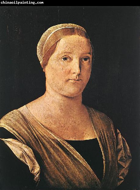 LOTTO, Lorenzo Portrait of a Woman sg