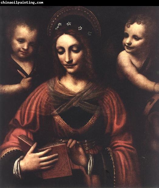 LUINI, Bernardino Saint Catherine a