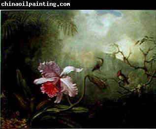 Martin Johnson Heade Cattleya Orchid Three Brazilian Hummingbirds