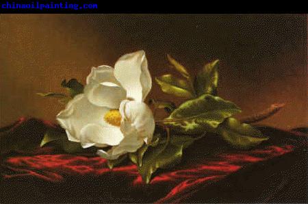 Martin Johnson Heade Magnolia f