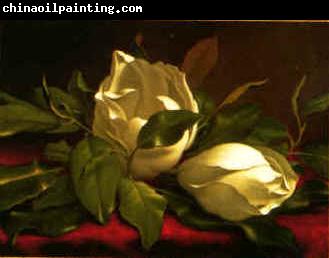 Martin Johnson Heade Magnolia hgh