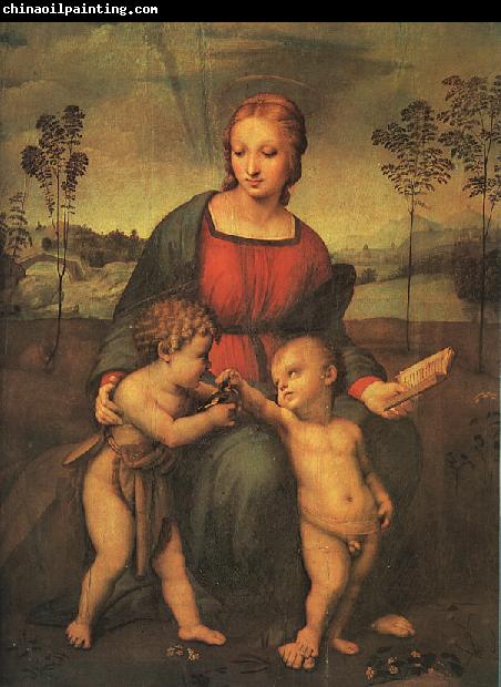 Raphael Madonna of the Goldfinch