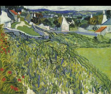 Vincent Van Gogh Vineyards at Auvers