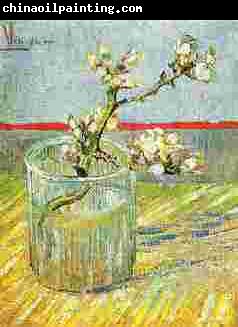 Vincent Van Gogh Blooming Almond Stem in a Glass